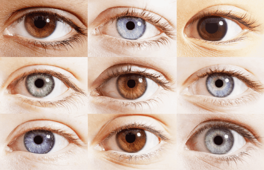 zdjęcia przedstawiające różne kolory oczu