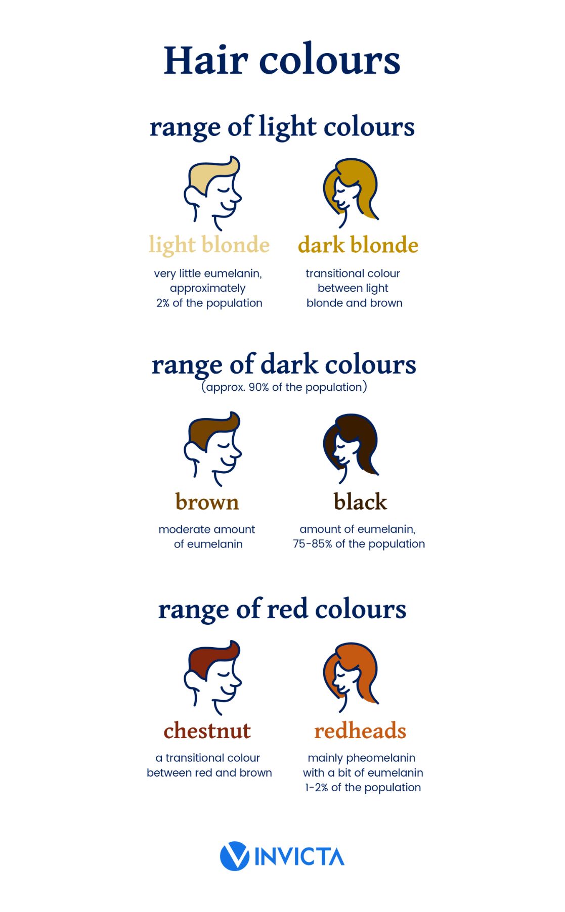 colours of hair