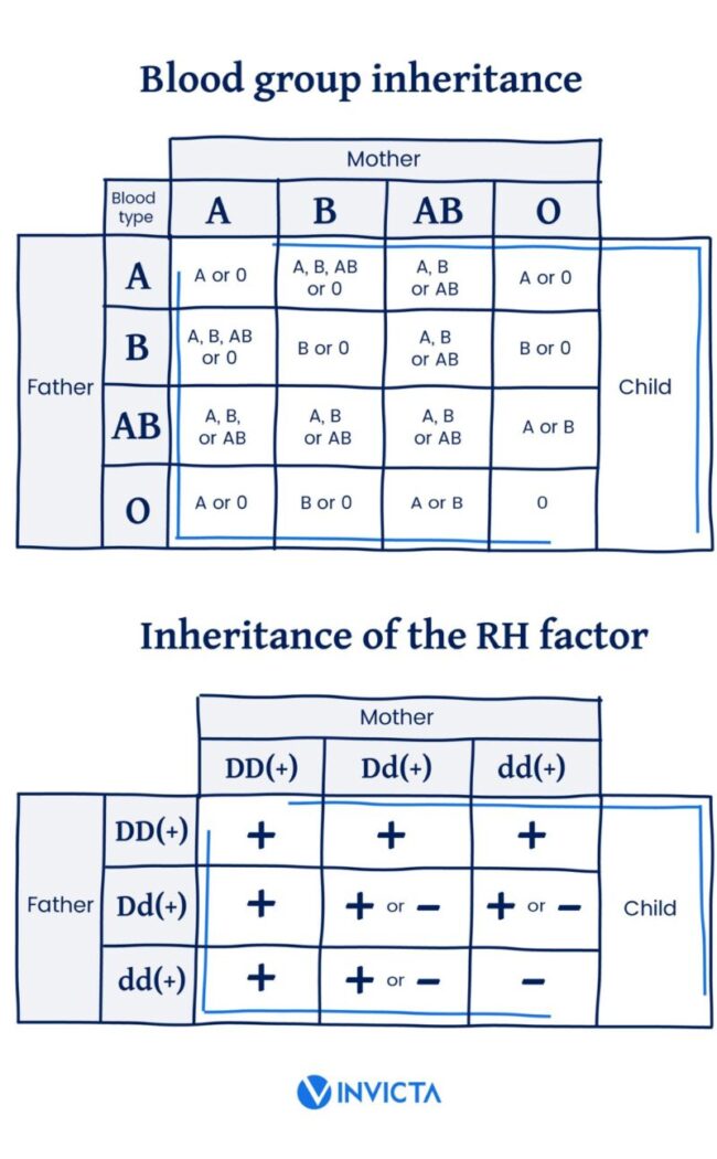 blood group and RH factor inheritance